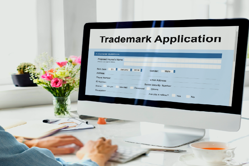 Business License Submission Process